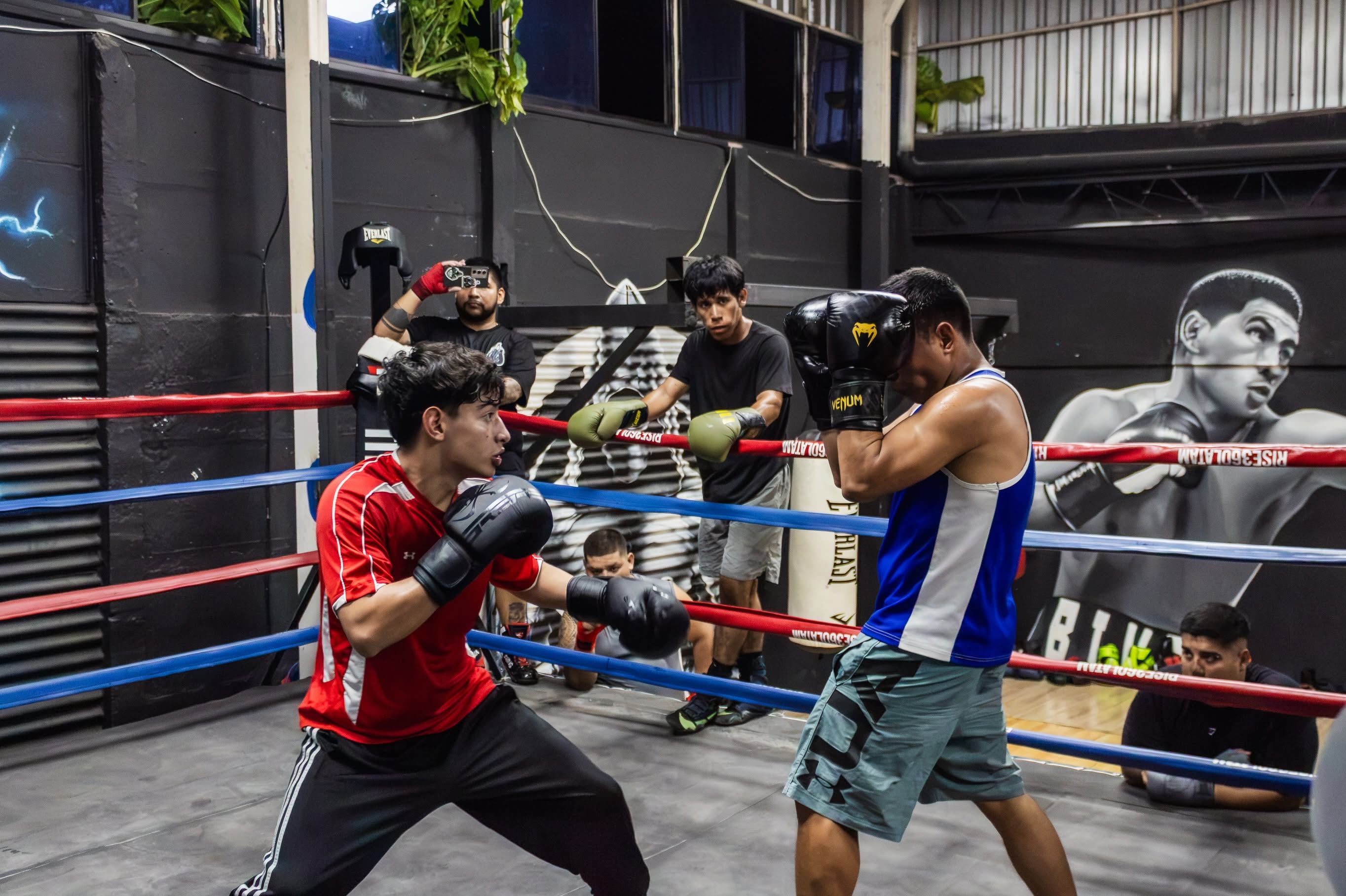 Clases de boxeo fines de semana